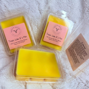 Wax Warmer Cubes (Tropic Like It's Hot)